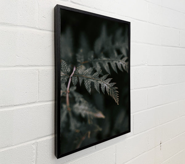 Emerald Fern Whispers
