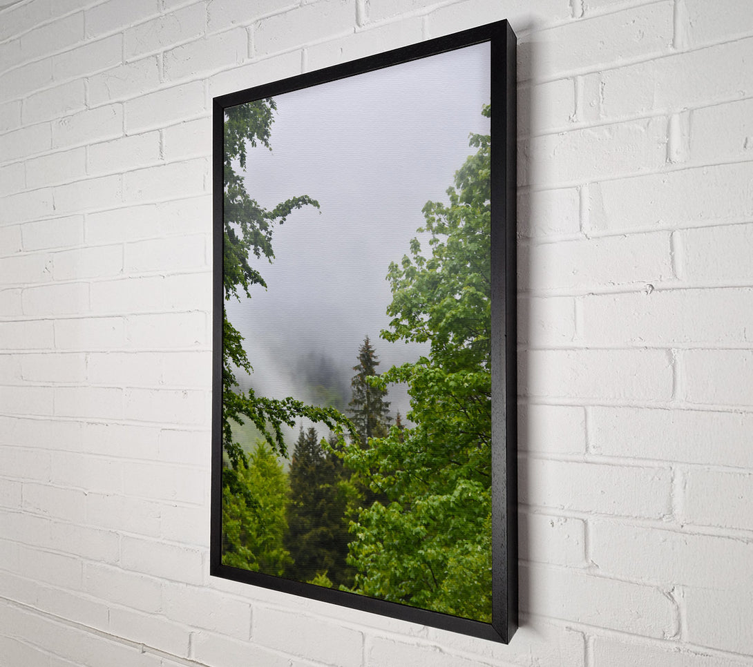  A Canvas Print of Green Mist Enchantment Canvas Wall Art
