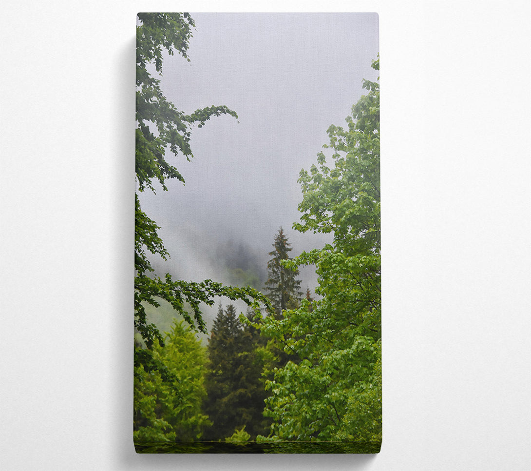  A Canvas Print of Green Mist Enchantment Canvas Wall Art