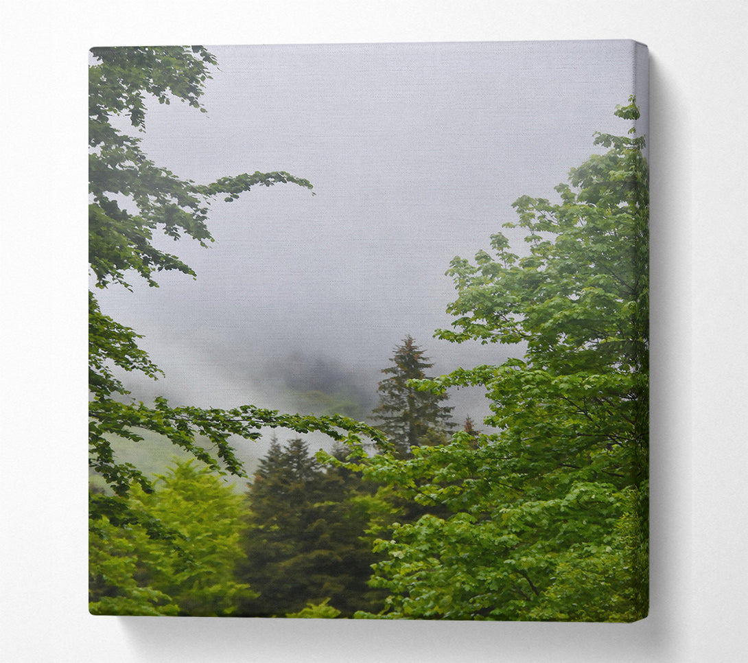  A Canvas Print of Green Mist Enchantment Canvas Wall Art