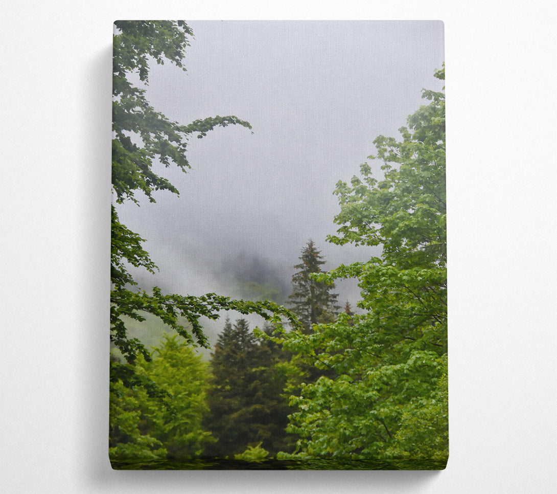  A Canvas Print of Green Mist Enchantment Canvas Wall Art