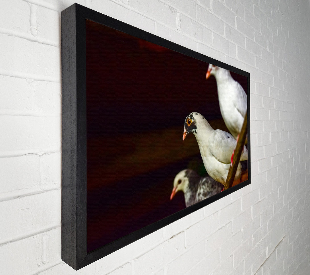  A Canvas Print of White Bird'S Perspective Canvas Wall Art