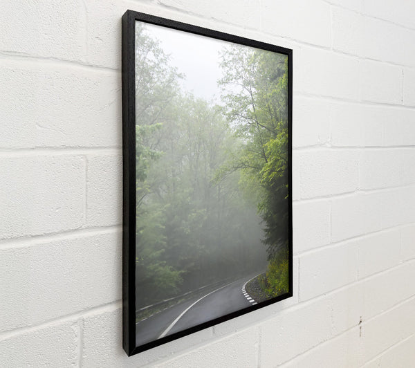 Green Foggy Road