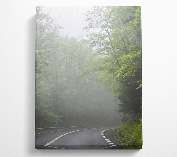 A Canvas Print of Green Foggy Road Canvas Art