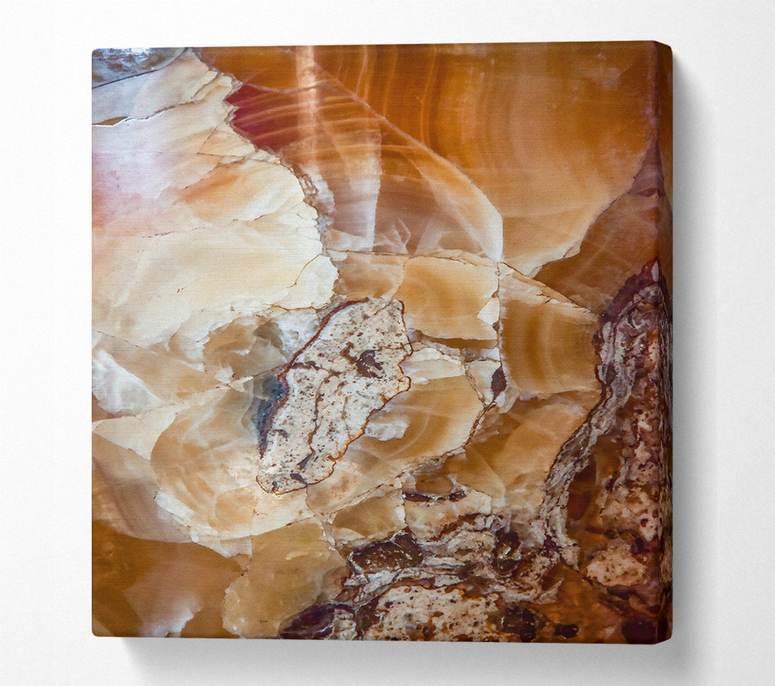  A Canvas Print of Amber Veined Texture Canvas Wall Art