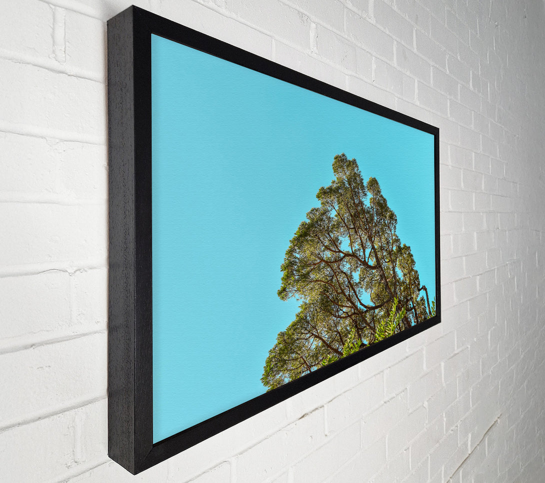 A Canvas Print of Azure Sky Canopy Canvas Art