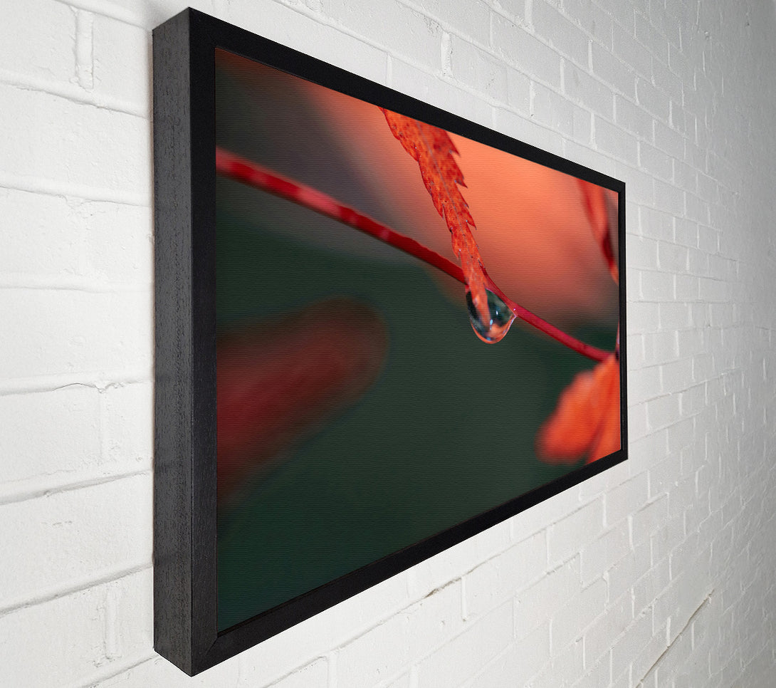  A Canvas Print of Crimson Dewdrop Reflection Canvas Art