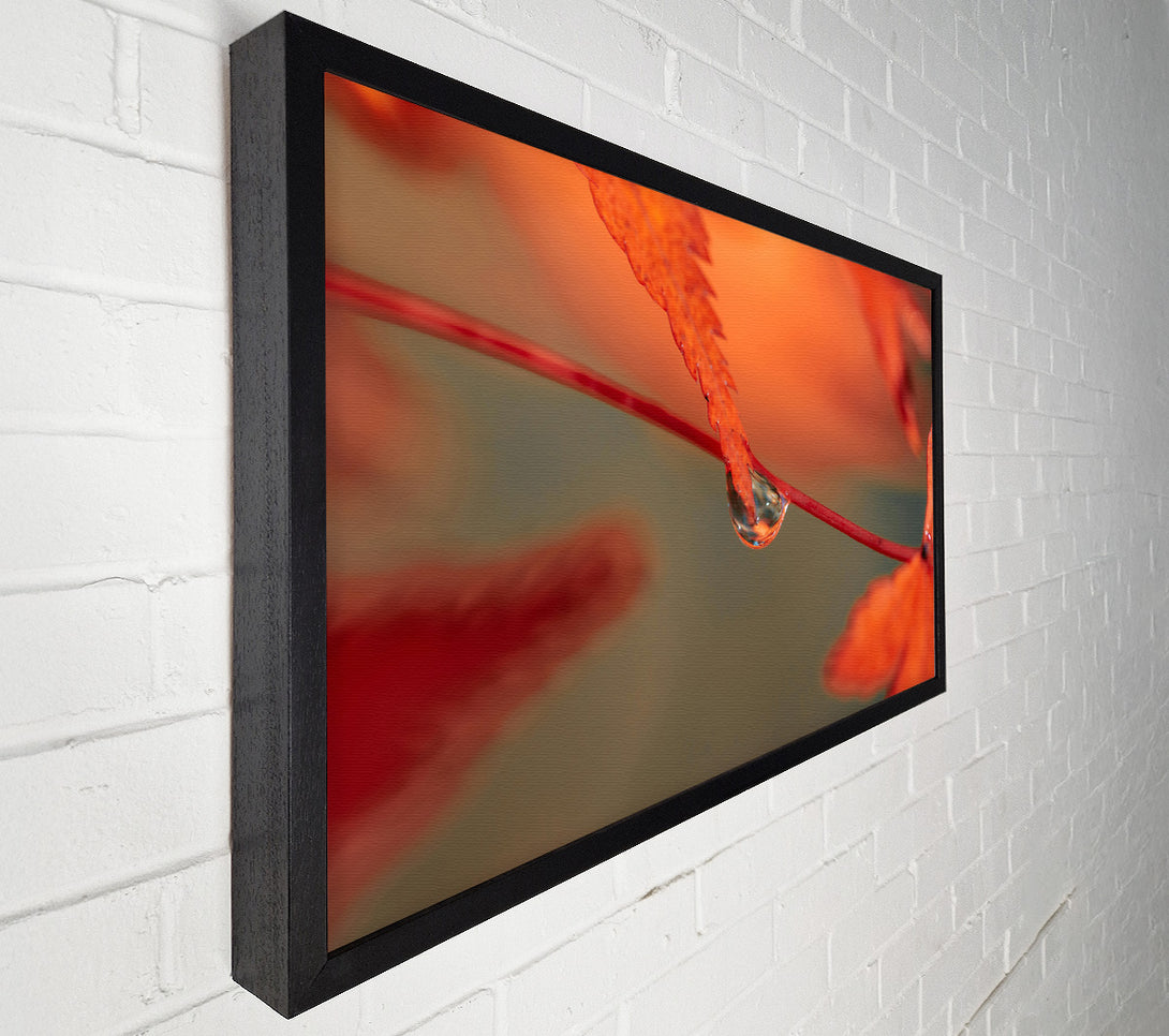  A Canvas Print of Red Leaf Reflection Canvas Print