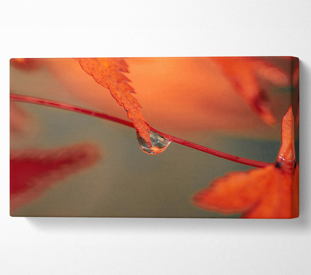  A Canvas Print of Red Leaf Reflection Canvas Print