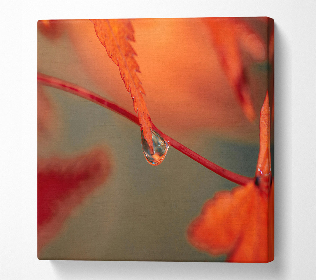  A Canvas Print of Red Leaf Reflection Canvas Print