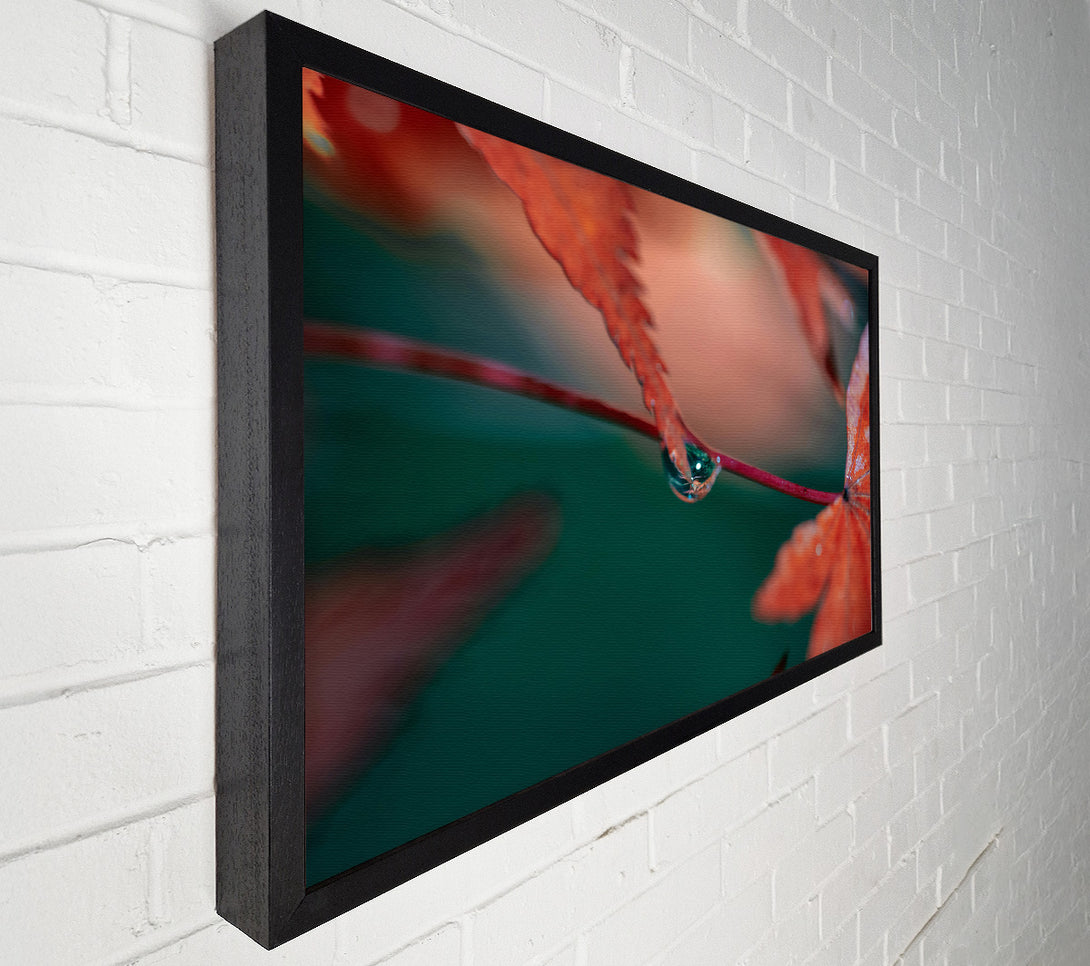  A Canvas Print of Crimson Leaf Dewdrop Canvas Print