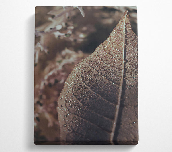 A Canvas Print of Brown Dewdrop Leaf Canvas Wall Art
