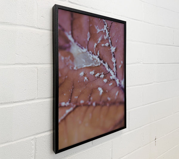 Dusty Rose Leaf