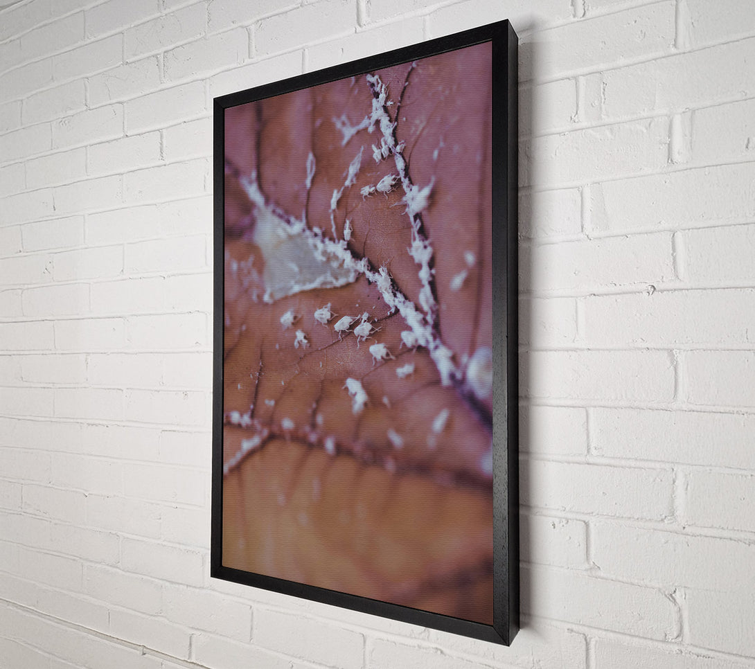  A Canvas Print of Dusty Rose Leaf Canvas Print