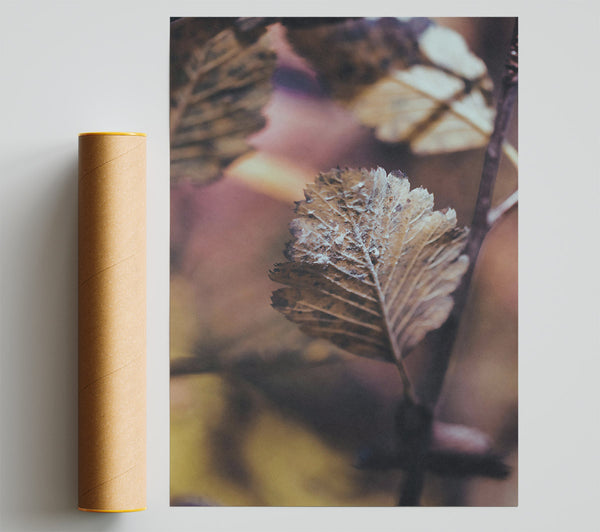 The Rusty Brown Leaf Giclee Print