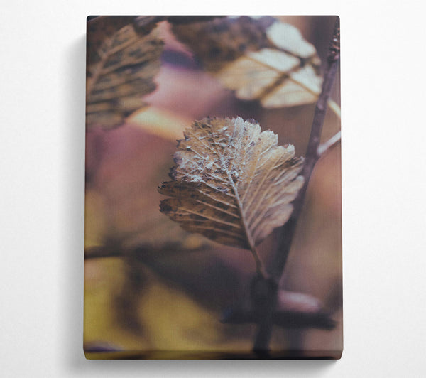  A Canvas Print of The Rusty Brown Leaf Canvas Art