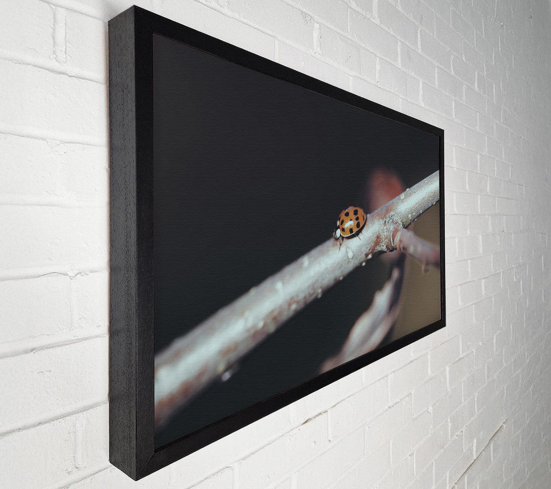 A Canvas Print of Orange Ladybug Branch Canvas Wall Art