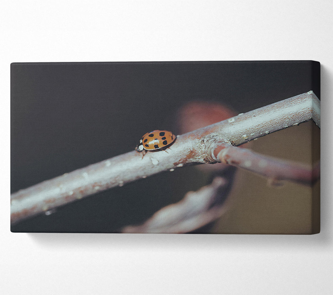  A Canvas Print of Orange Ladybug Branch Canvas Wall Art
