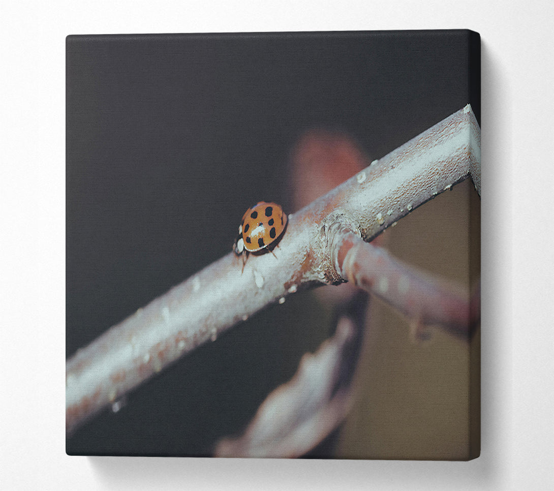  A Canvas Print of Orange Ladybug Branch Canvas Wall Art