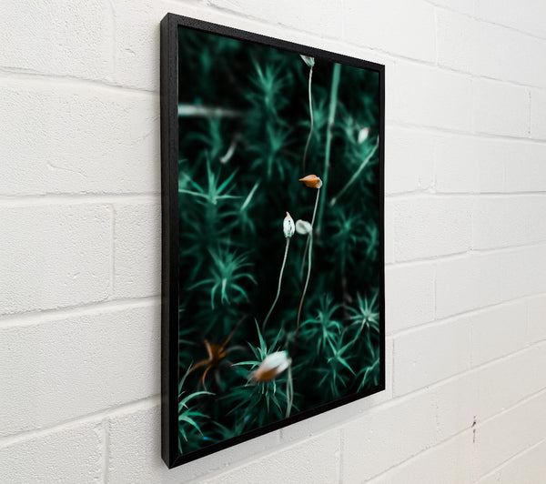 Teal Moss Blooms