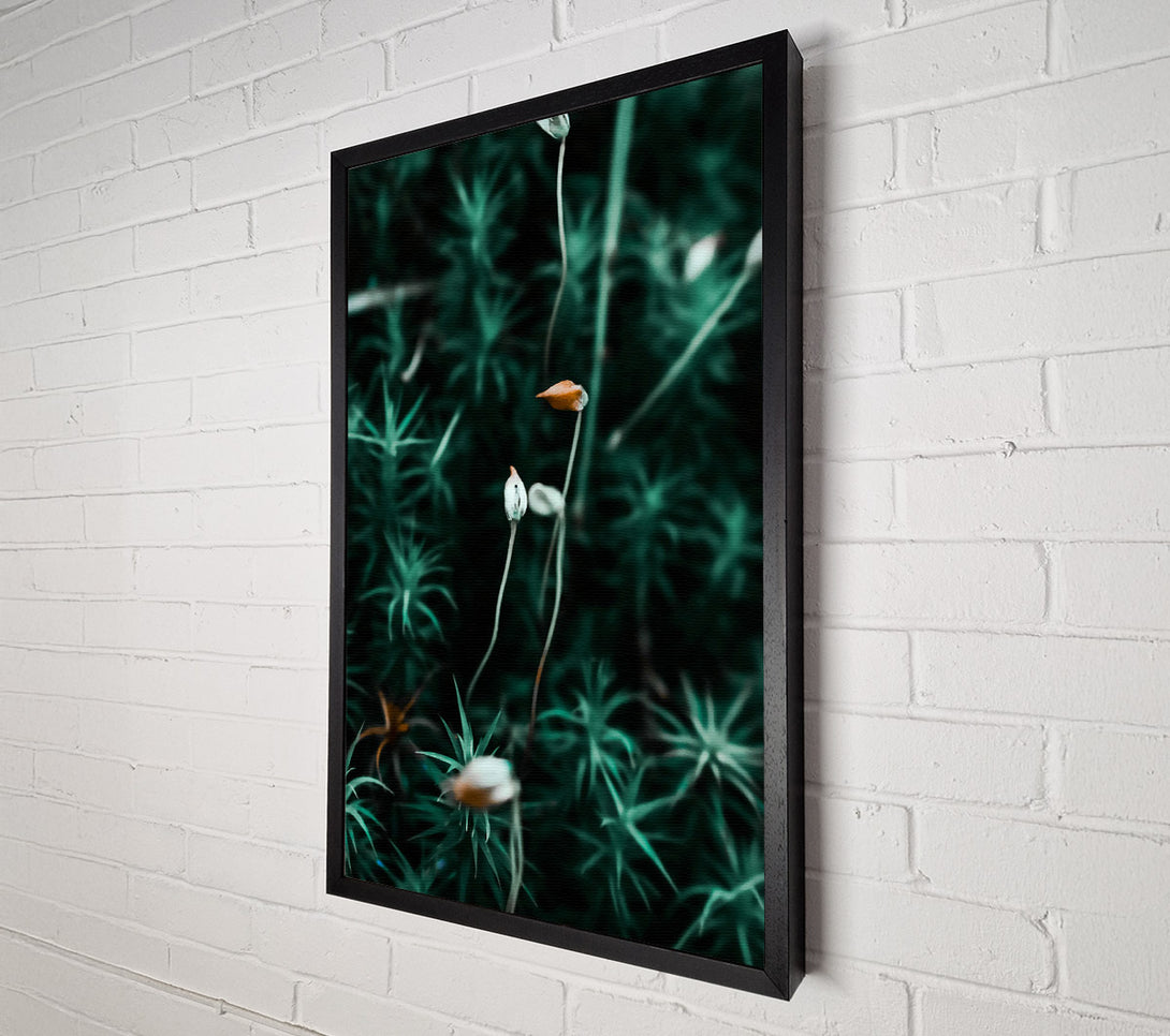  A Canvas Print of Teal Moss Blooms Canvas Art