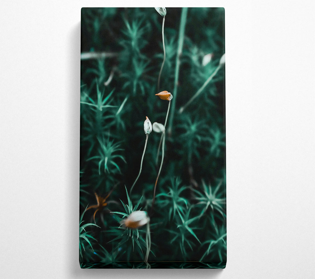  A Canvas Print of Teal Moss Blooms Canvas Art