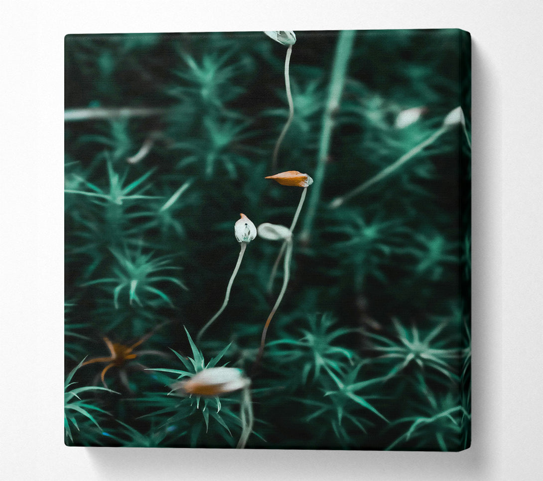  A Canvas Print of Teal Moss Blooms Canvas Art