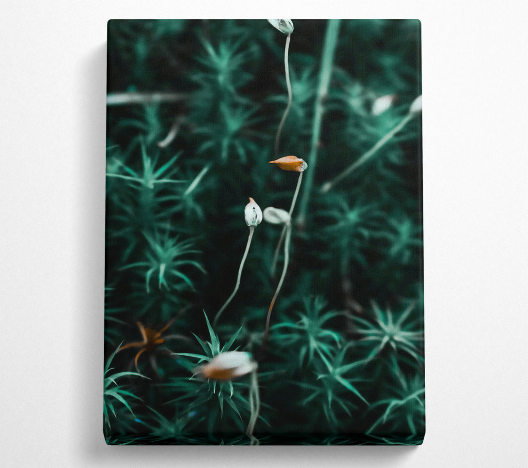  A Canvas Print of Teal Moss Blooms Canvas Art
