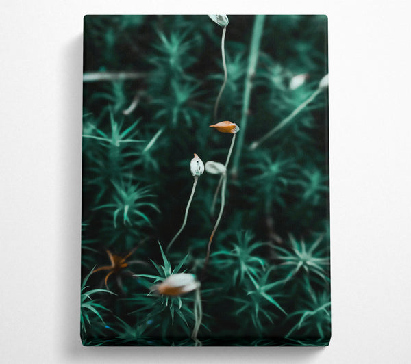  A Canvas Print of Teal Moss Blooms Canvas Art