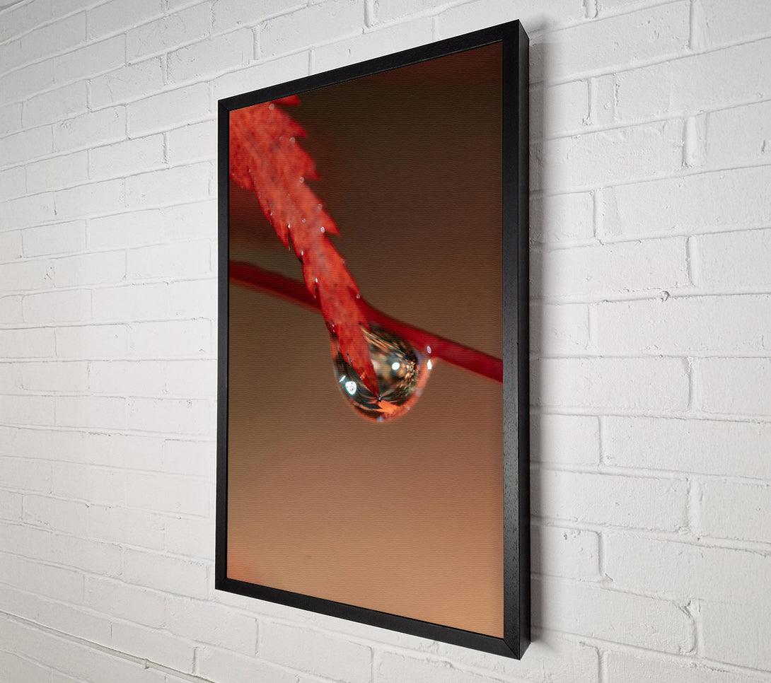  A Canvas Print of Crimson Leaf Reflection Canvas Wall Art