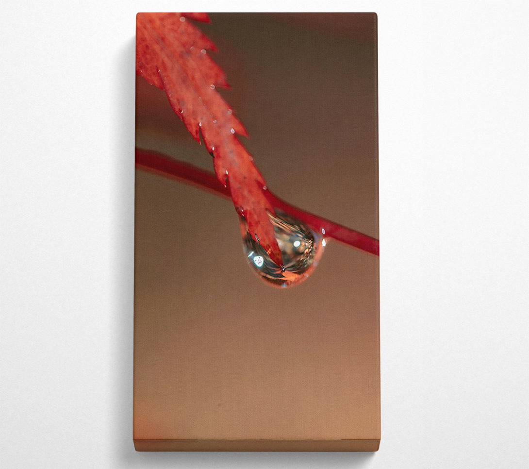  A Canvas Print of Crimson Leaf Reflection Canvas Wall Art