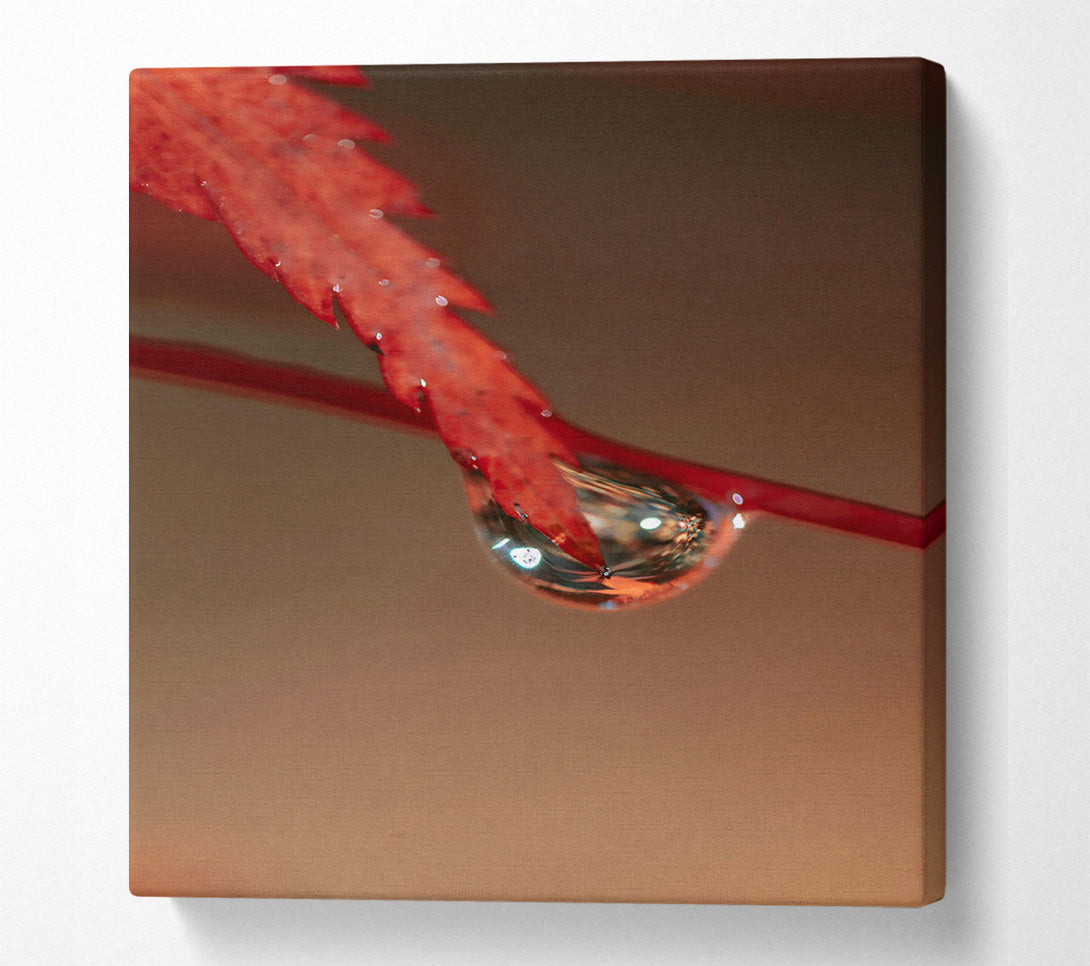  A Canvas Print of Crimson Leaf Reflection Canvas Wall Art