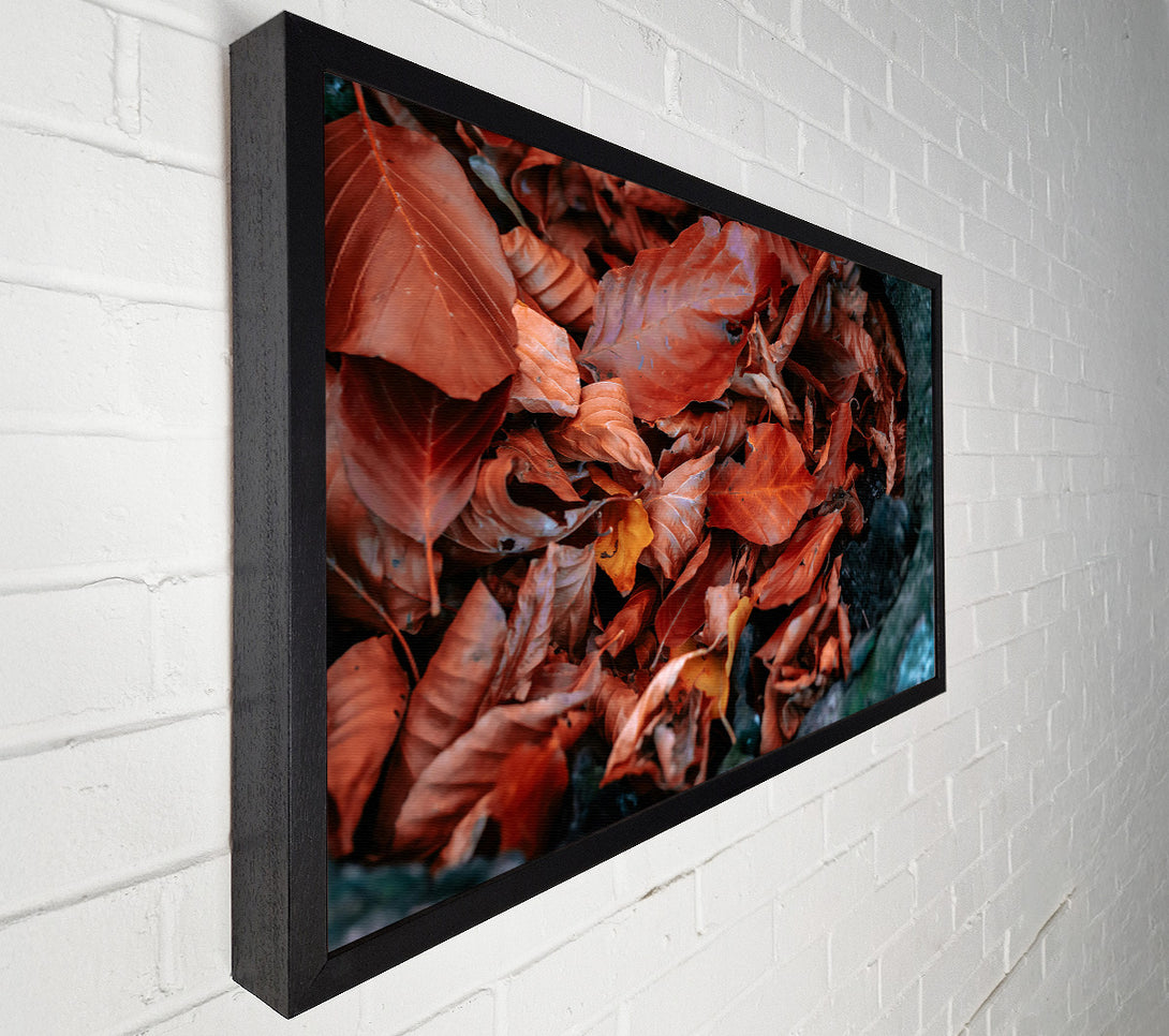  A Canvas Print of Autumn'S Rusty Embrace Canvas Print