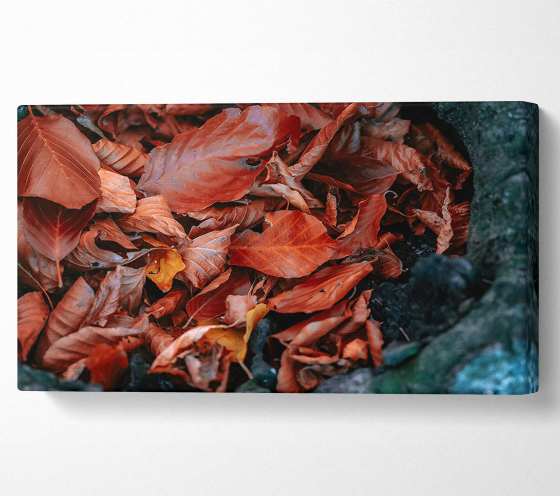  A Canvas Print of Autumn'S Rusty Embrace Canvas Print