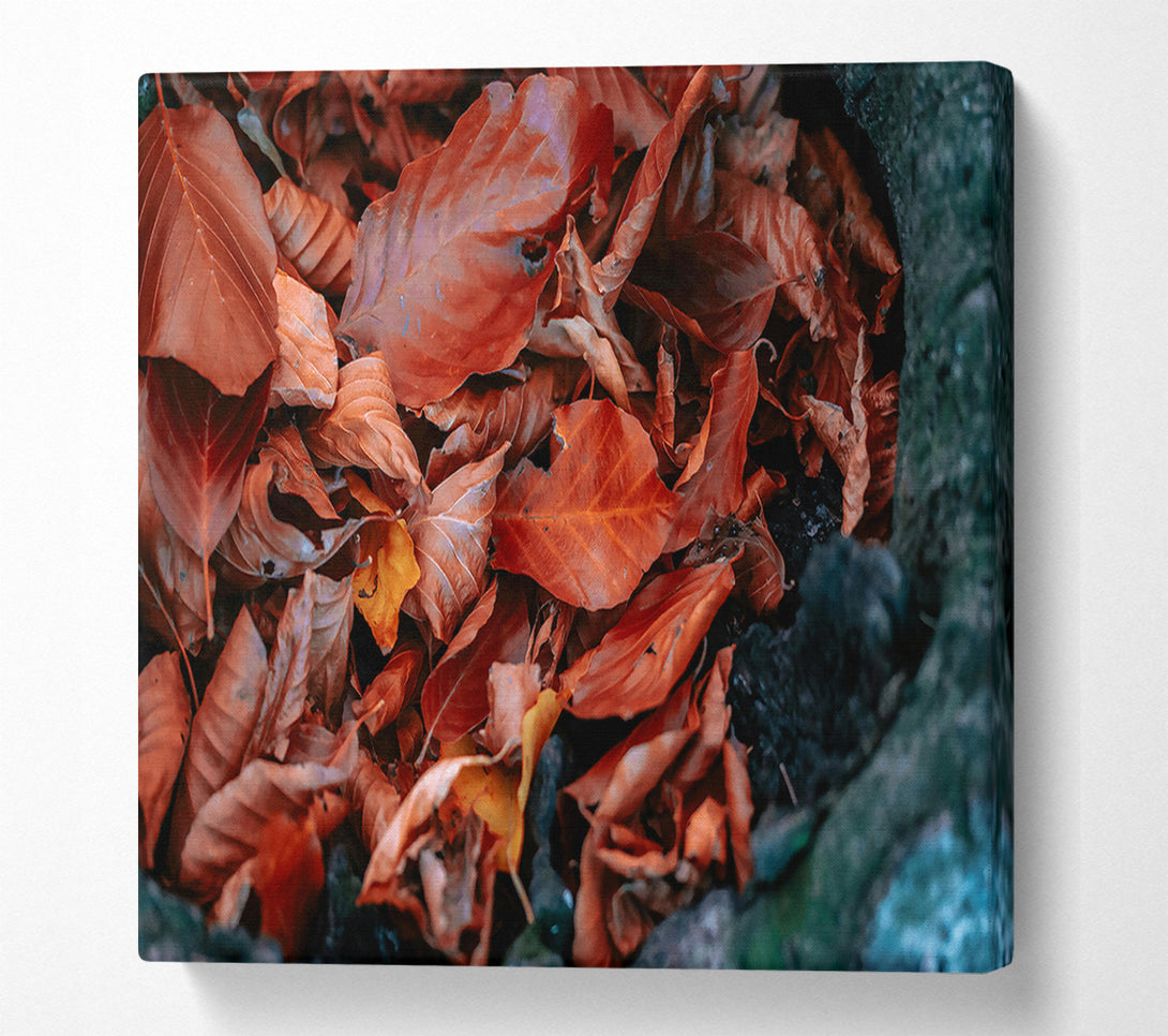  A Canvas Print of Autumn'S Rusty Embrace Canvas Print