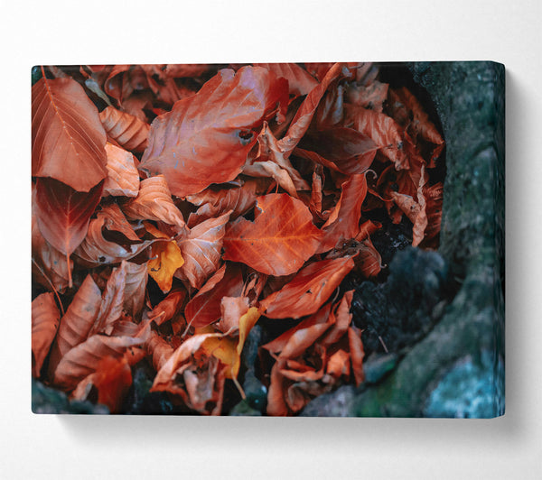  A Canvas Print of Autumn'S Rusty Embrace Canvas Print