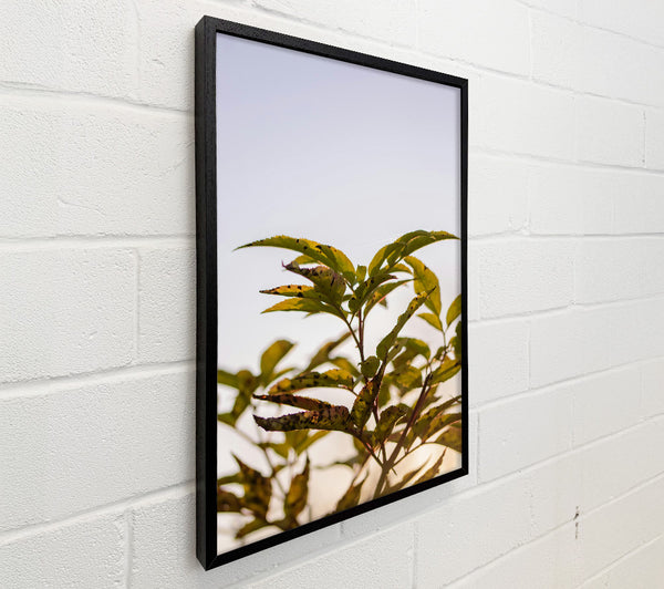 Golden Leaf Silhouette