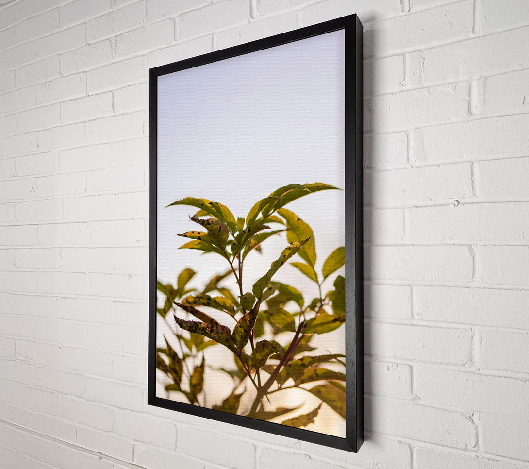  A Canvas Print of Golden Leaf Silhouette Canvas Art