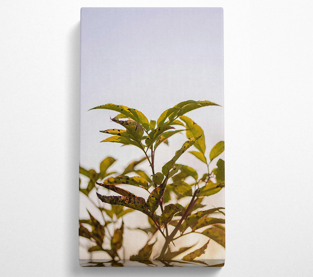 A Canvas Print of Golden Leaf Silhouette Canvas Art