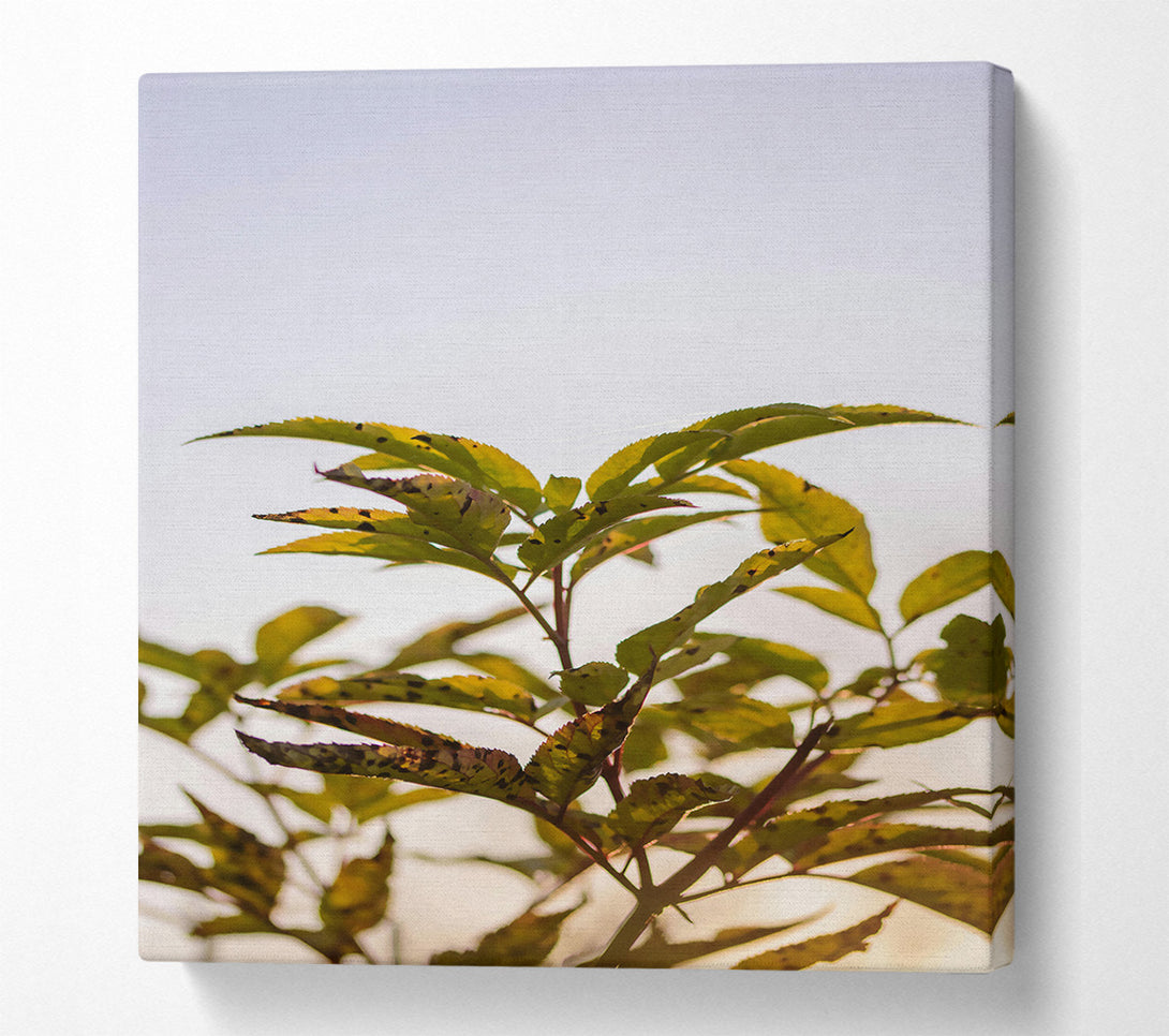  A Canvas Print of Golden Leaf Silhouette Canvas Art