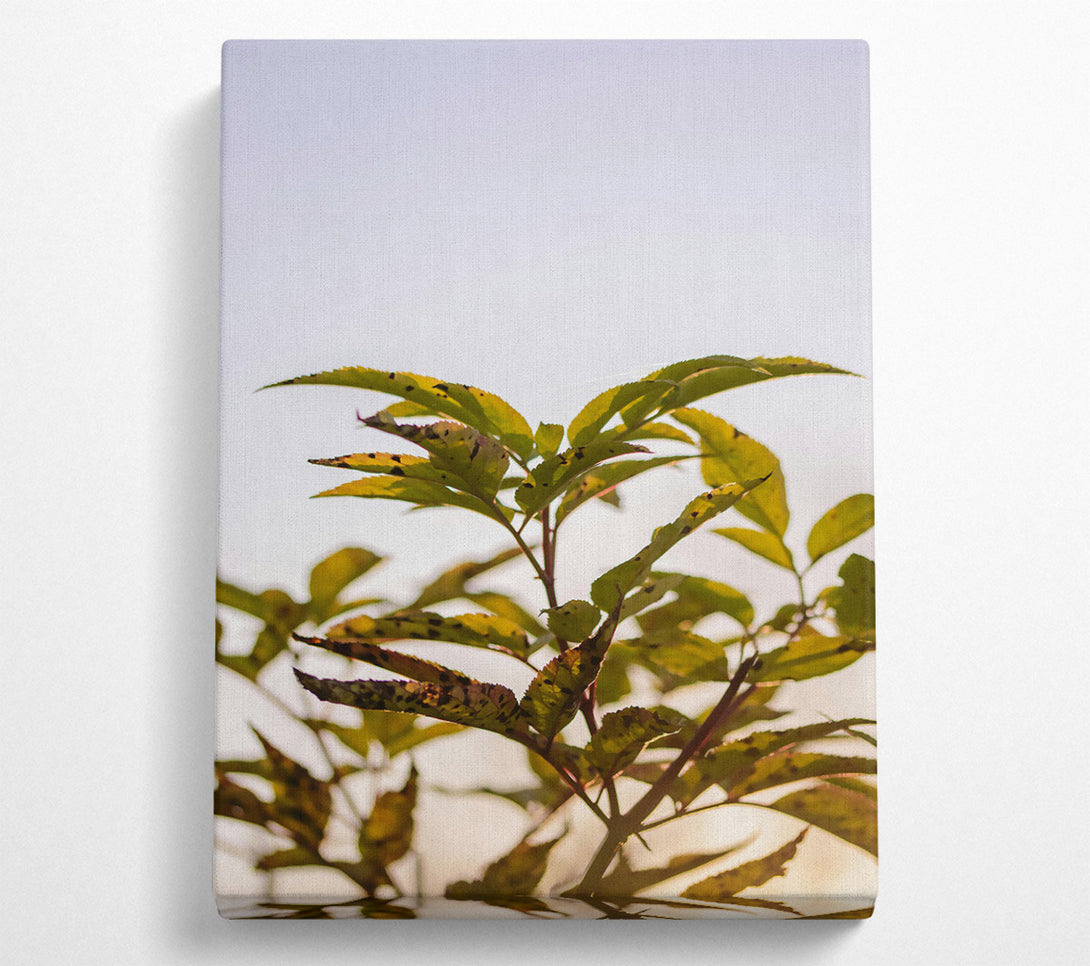  A Canvas Print of Golden Leaf Silhouette Canvas Art