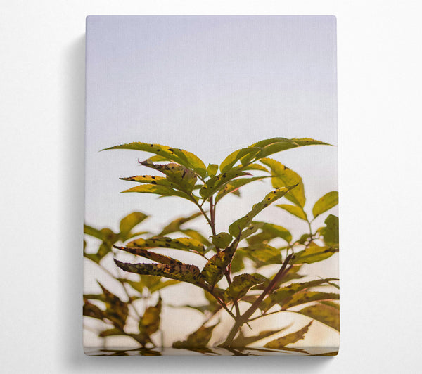  A Canvas Print of Golden Leaf Silhouette Canvas Art