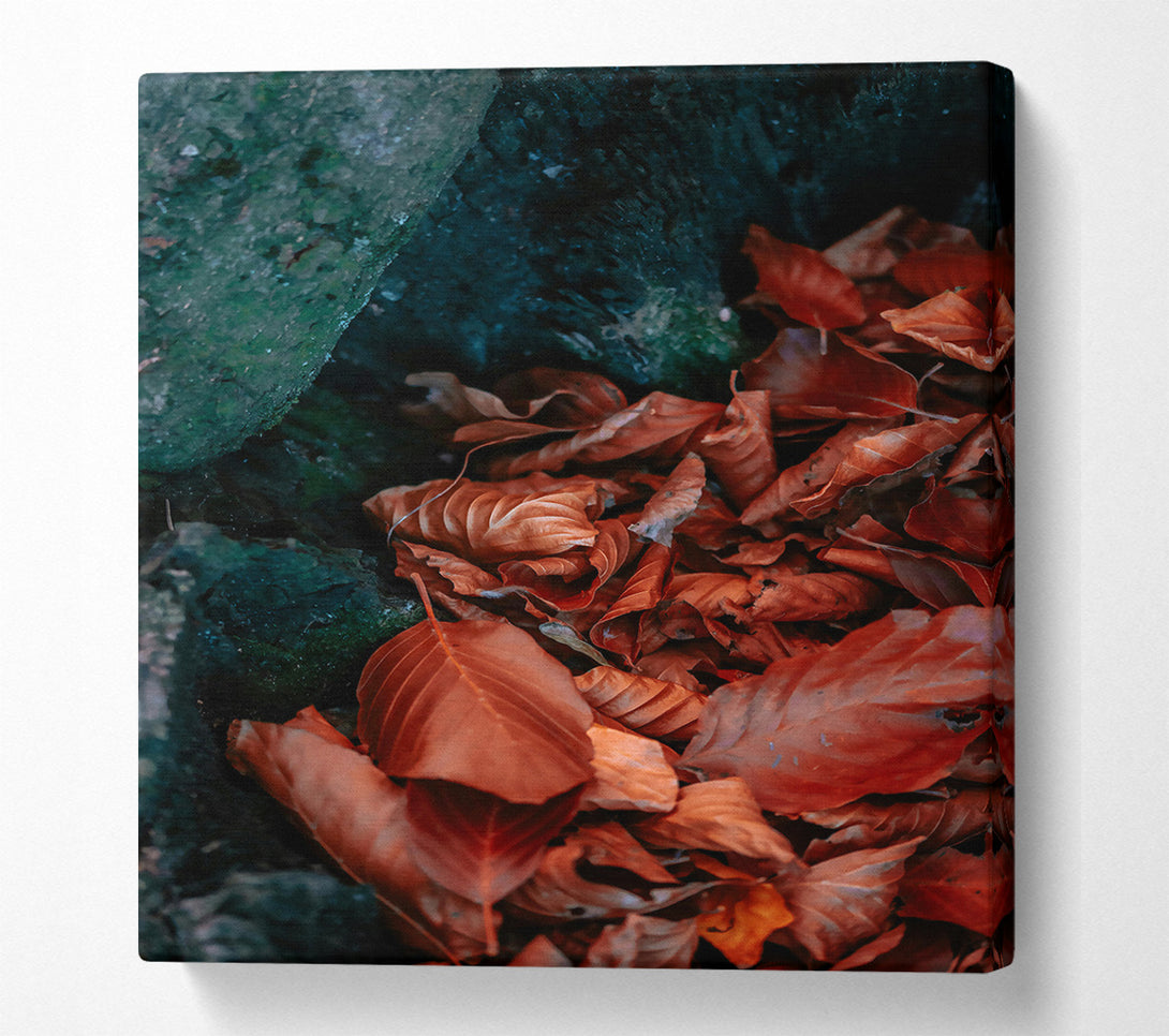  A Canvas Print of Rust-Colored Autumn Leaves Canvas Wall Art