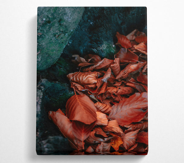  A Canvas Print of Rust-Colored Autumn Leaves Canvas Wall Art