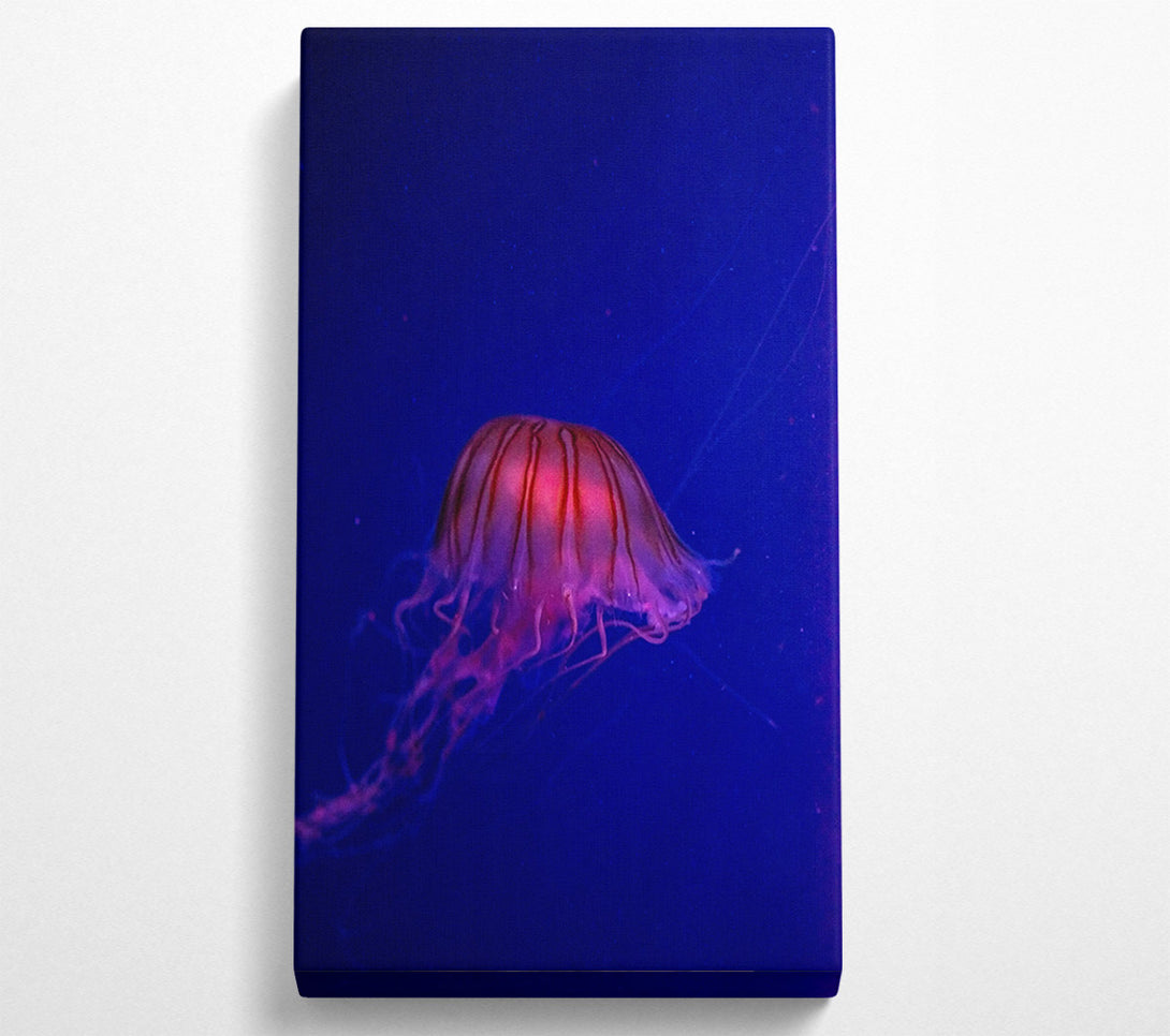  A Canvas Print of Pink Jellyfish Bloom Canvas Wall Art