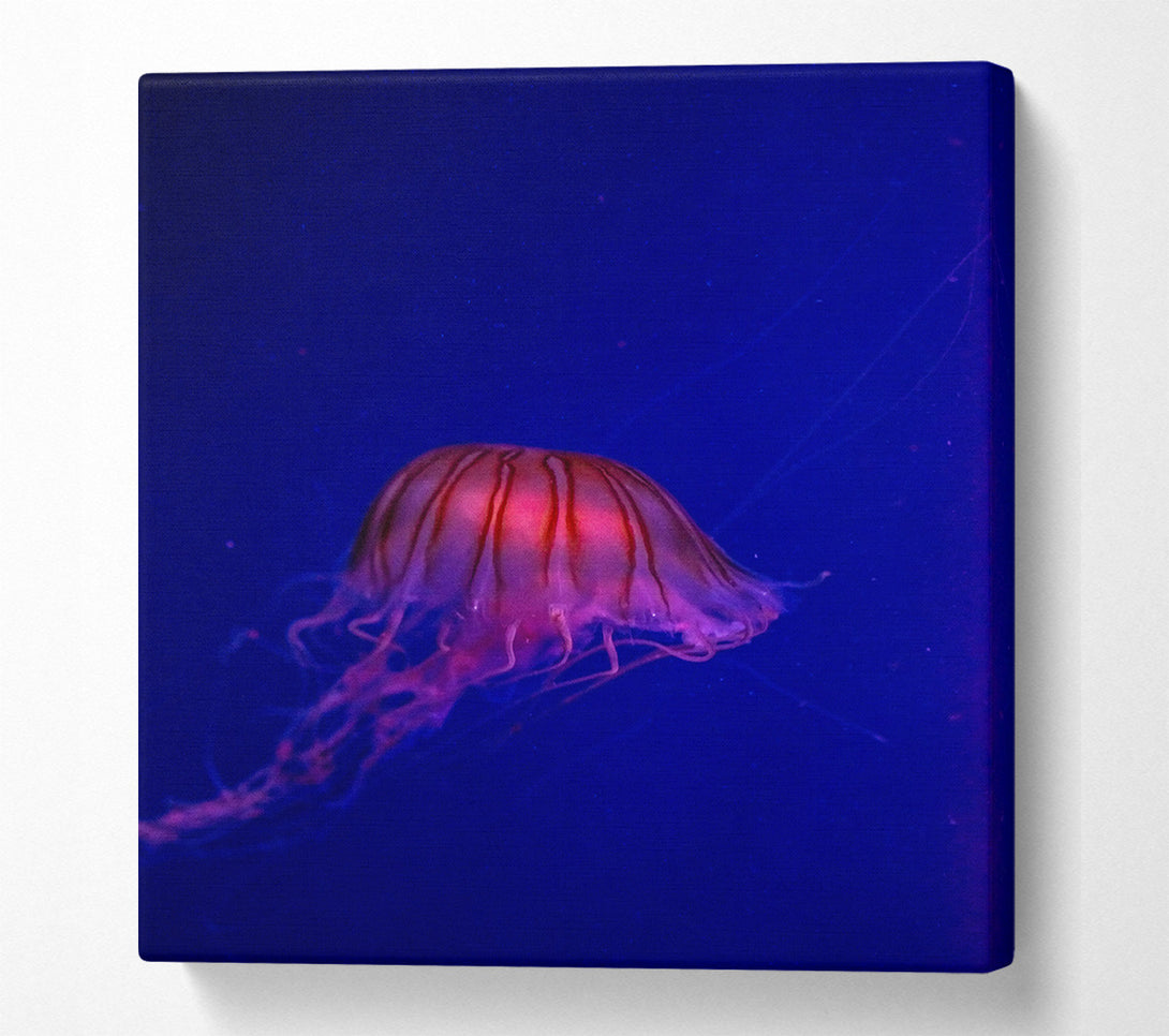  A Canvas Print of Pink Jellyfish Bloom Canvas Wall Art