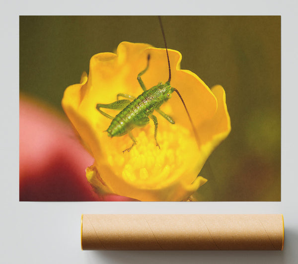 Green On Yellow Flower Poster