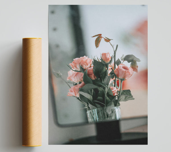 Blush Rose Reflection Poster
