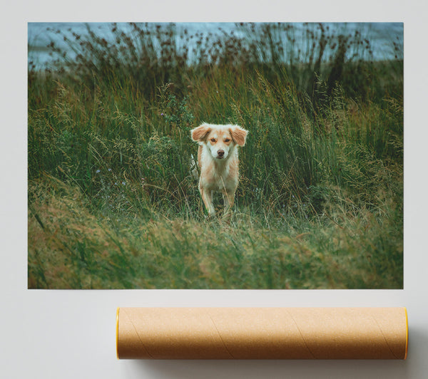 Golden Gaze In Green Giclee Print
