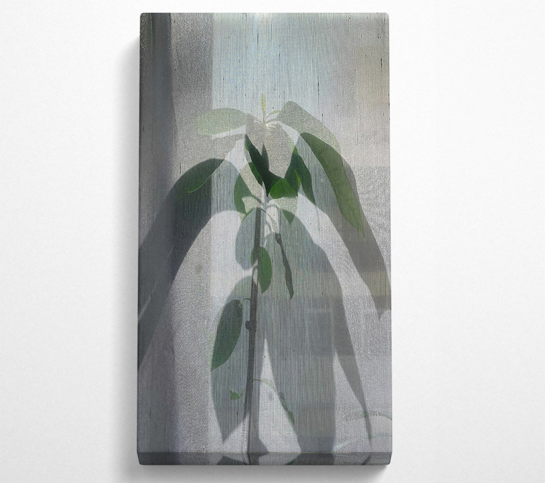  A Canvas Print of Pale Green Silhouette Canvas Wall Art